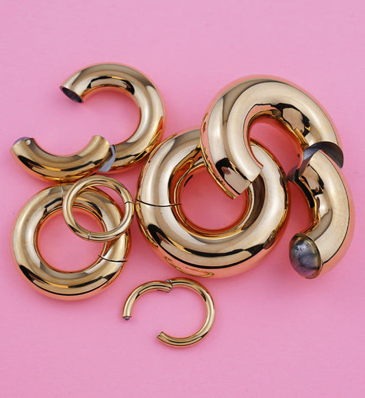 Gold PVD Titanium Hinged Segment Ring