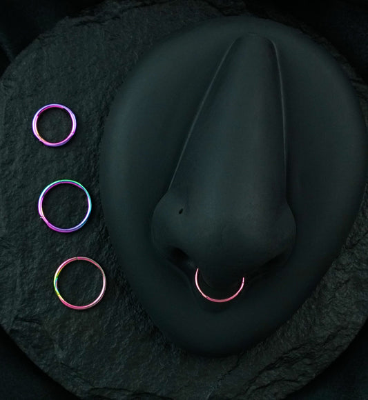 Rainbow PVD Hinged Steel Segment Hoop Ring